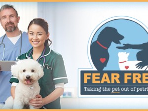 Fear Free Program