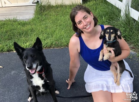 Journey Into Rescue