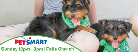 Falls Church