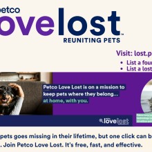 Reunite Lost Pets